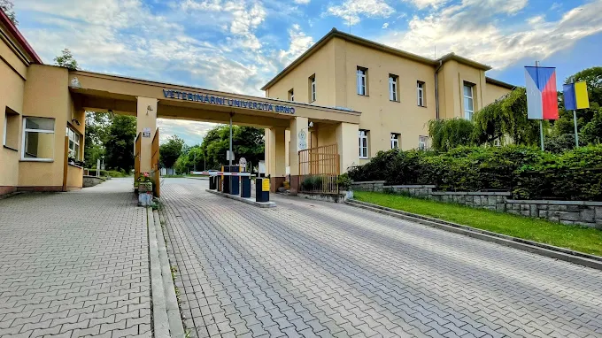 alt="مبنى جامعة العلوم البيطرية برنو في جمهورية التشيك"
