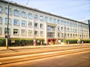 Tallinn University - TLU