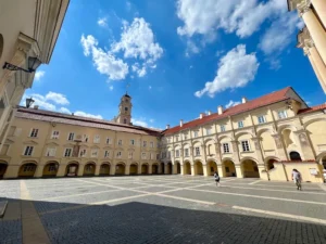 Vilnius University